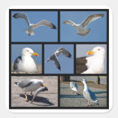 カモメの複数の写真 スクエアシール (正面)
