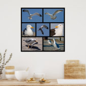 カモメの複数の写真 ポスター (キッチン)