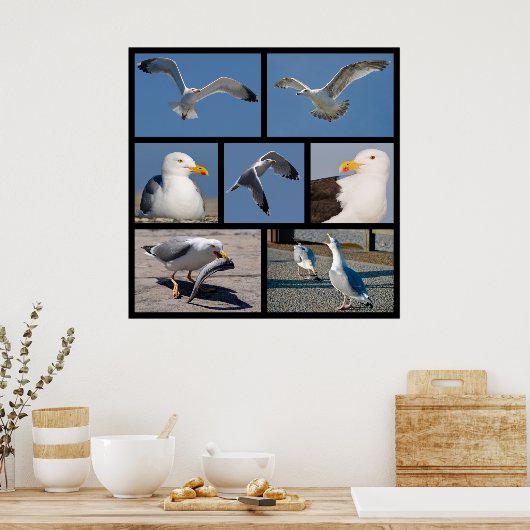 カモメの複数の写真 ポスター (キッチン)