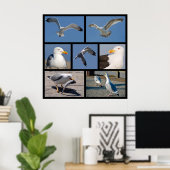 カモメの複数の写真 ポスター (ホームオフィス)