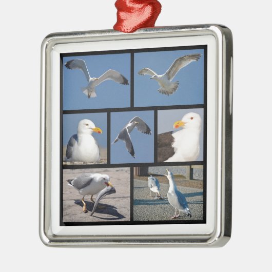 カモメの複数の写真 メタルオーナメント (左)