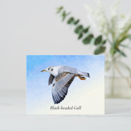 カモメの鳥の水の色絵画の ポストカード (スタンド正面)