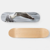 カモメの鳥の飛行 スケートボード (横)
