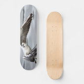 カモメの鳥の飛行 スケートボード (正面)