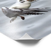 カモメの鳥の飛行 フォトプリント            (角)