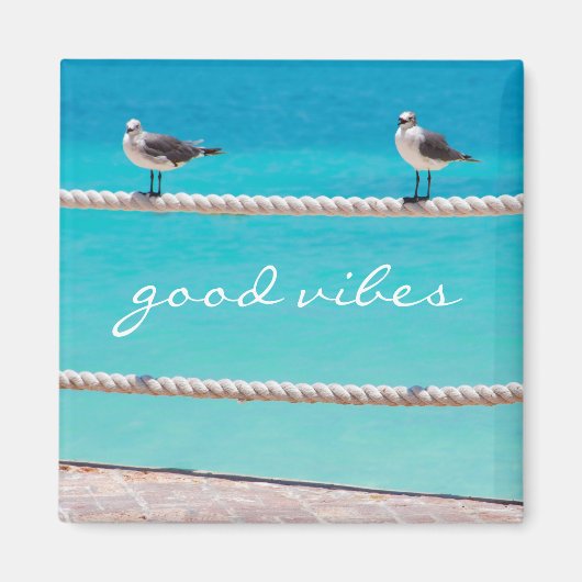カモメの鳥ターコイズ海写真Good Vibes マグネット (正面)