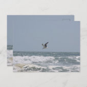 カモメはがき ポストカード (正面/裏面)