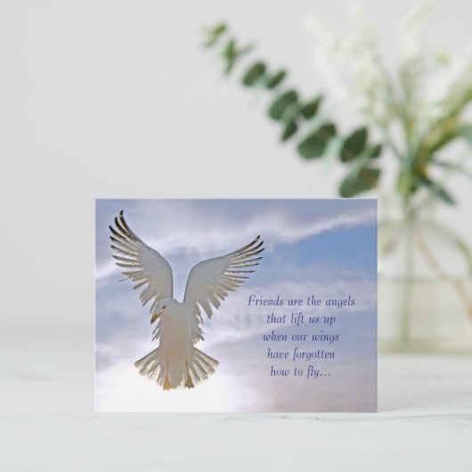 カモメはがき ポストカード (スタンド正面)