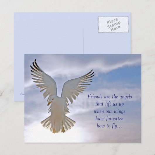 カモメはがき ポストカード (正面/裏面)