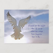 カモメはがき ポストカード (正面)