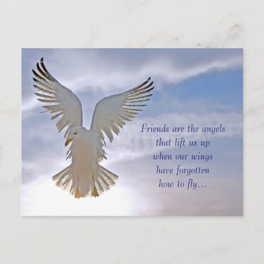 カモメはがき ポストカード (正面)