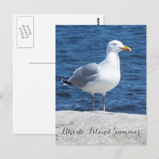 カモメはがき ポストカード (正面/裏面)