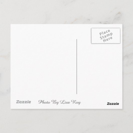 カモメはがき ポストカード (裏面)