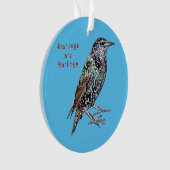 カモメはタヌキだ オーナメント (正面)