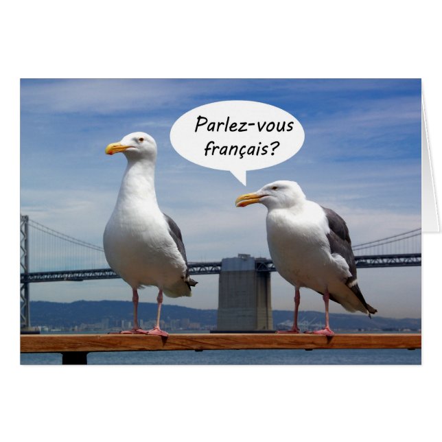 カモメはフランス語を話します (正面横)