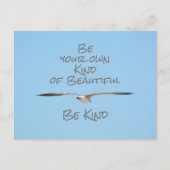 カモメは自分の美しい優しい ポストカード (正面)