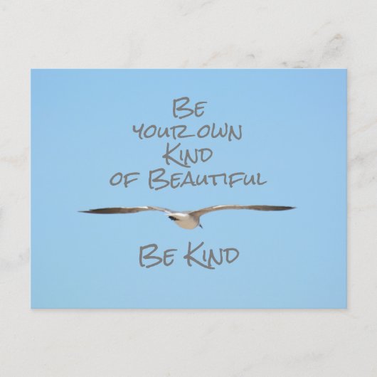 カモメは自分の美しい優しい ポストカード (正面)