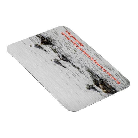 カモメやる気を起こさせるグ マグネット (右側)