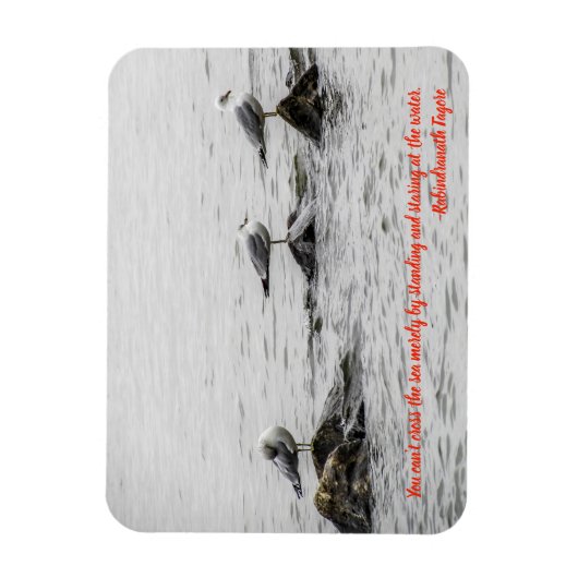 カモメやる気を起こさせるグ マグネット (縦)