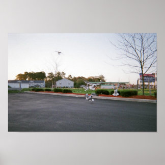 カモメを食べ物を与え使わない ポスター