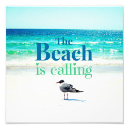 カモメビーチ フォトプリント