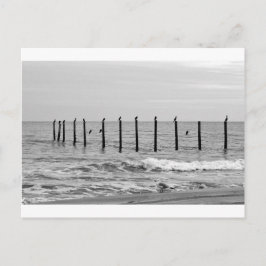 カモメビーチ ポストカード