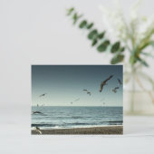 カモメブライトン ポストカード (スタンド正面)