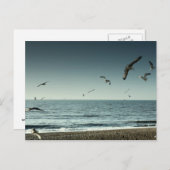 カモメブライトン ポストカード (正面/裏面)