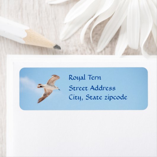 カモメ住所 シール (インサイチュ)