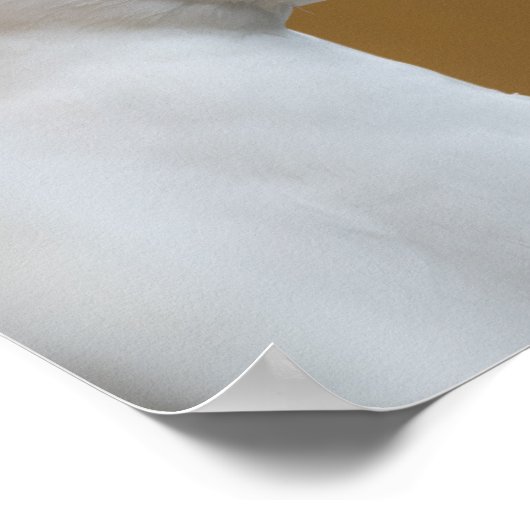 カモメ写真ポスター ポスター (角)