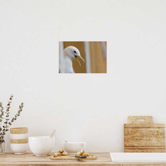 カモメ写真ポスター ポスター (キッチン)