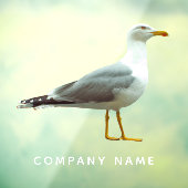 カモメ切り出しおもしろいリアル航海のバードカスタム ウィンドウサイン (シート3)