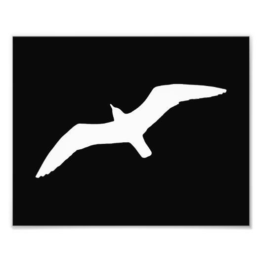 カモメ形状 フォトプリント            (正面)