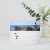 カモメ散歩 ポストカード (スタンド正面)