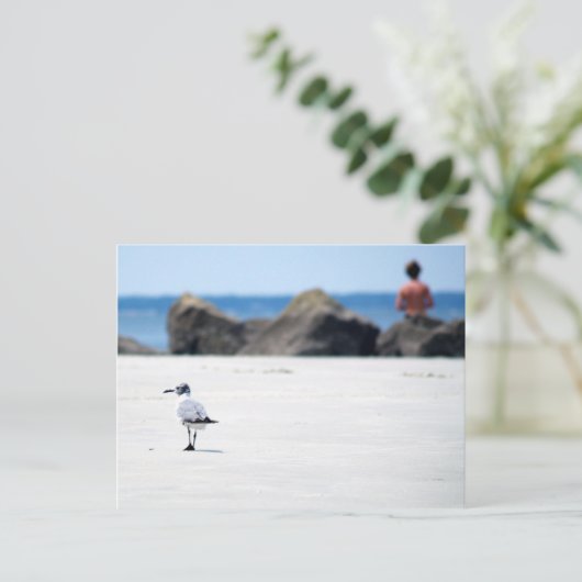 カモメ散歩 ポストカード (スタンド正面)