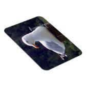 カモメ横型フレキシブルフォトマグネット マグネット (右側)