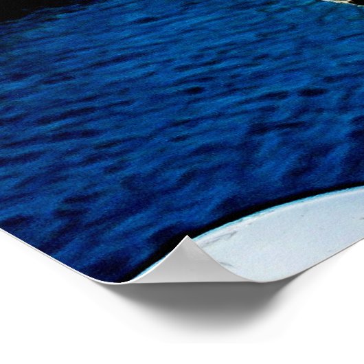 カモメ海岸 ポスター (角)