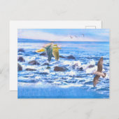 カモメ海遊具 ポストカード (正面/裏面)