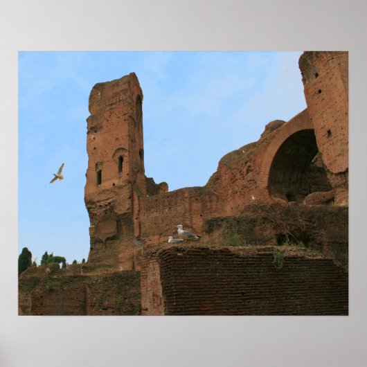 カモメ王国 ポスター (正面)