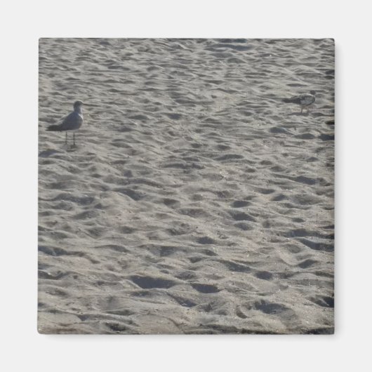 カモメ磁石 マグネット (正面)