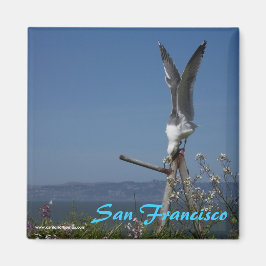 カモメ磁石 マグネット