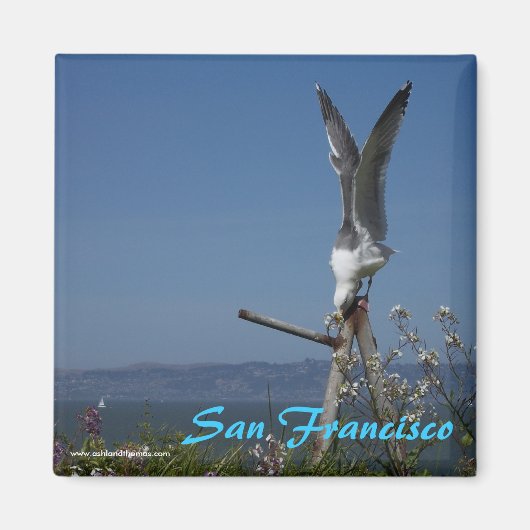 カモメ磁石 マグネット (正面)