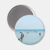 カモメ磁石 マグネット (正面/裏面)