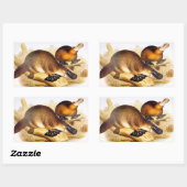 カモメ科カモノハシ 長方形シール (シート)