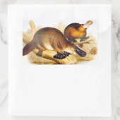 カモメ科カモノハシ 長方形シール (バッグ)