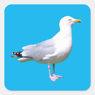 カモメ立ち スクエアシール