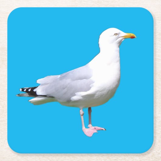 カモメ立てコースター スクエアペーパーコースター (正面)