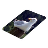 カモメ縦型フレキシブル写真磁石 マグネット (左側)