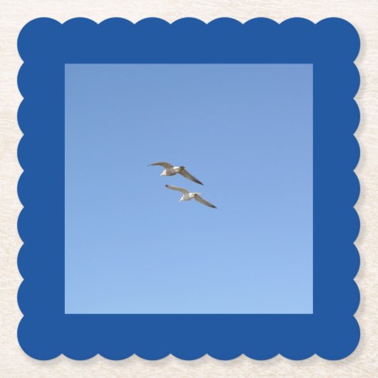カモメ飛んでいるイ高 –  ペーパーコースター (正面)