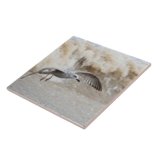 カモメ飛んでいるドリ タイル (側面)